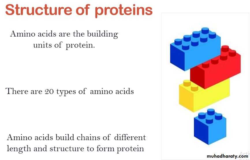 Nutrition 2