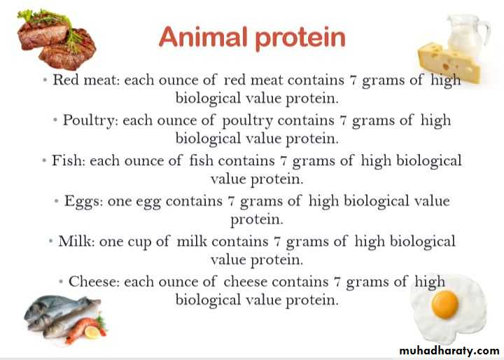 Nutrition 2