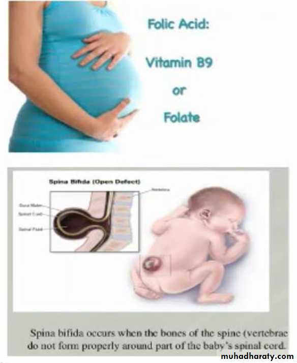 Nutrition 3