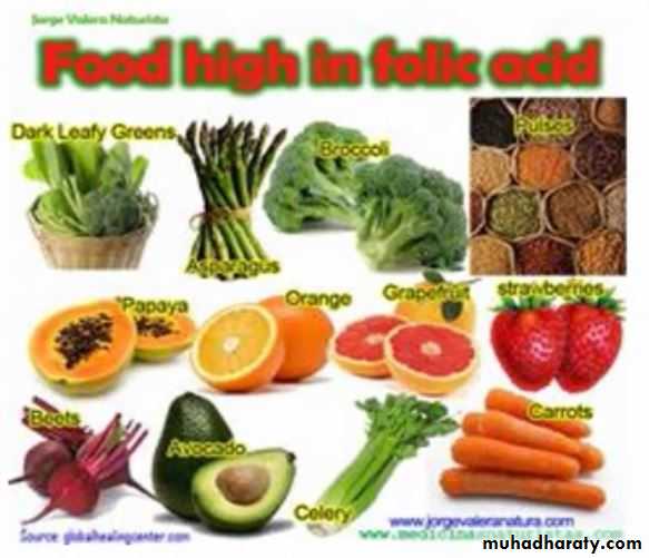 Nutrition 3
