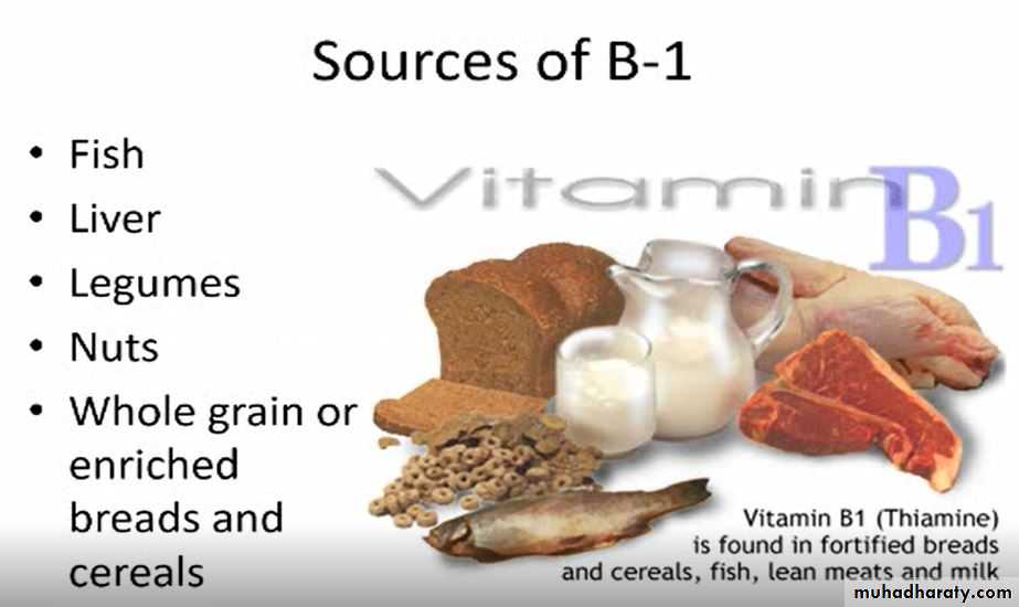 Nutrition 3