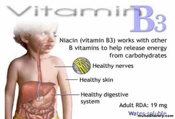Nutrition 3