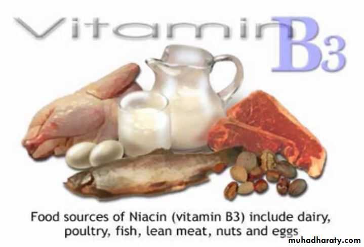 Nutrition 3