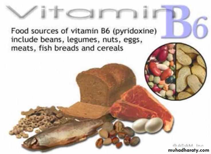 Nutrition 3