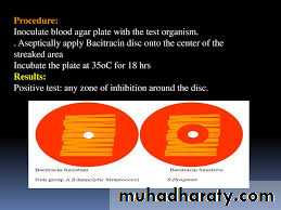 Streptococcus Part II