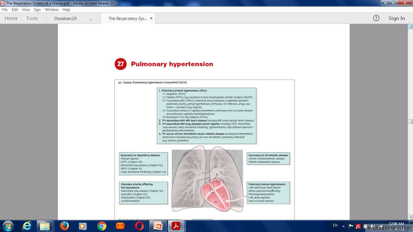Pulmonary vascular disease