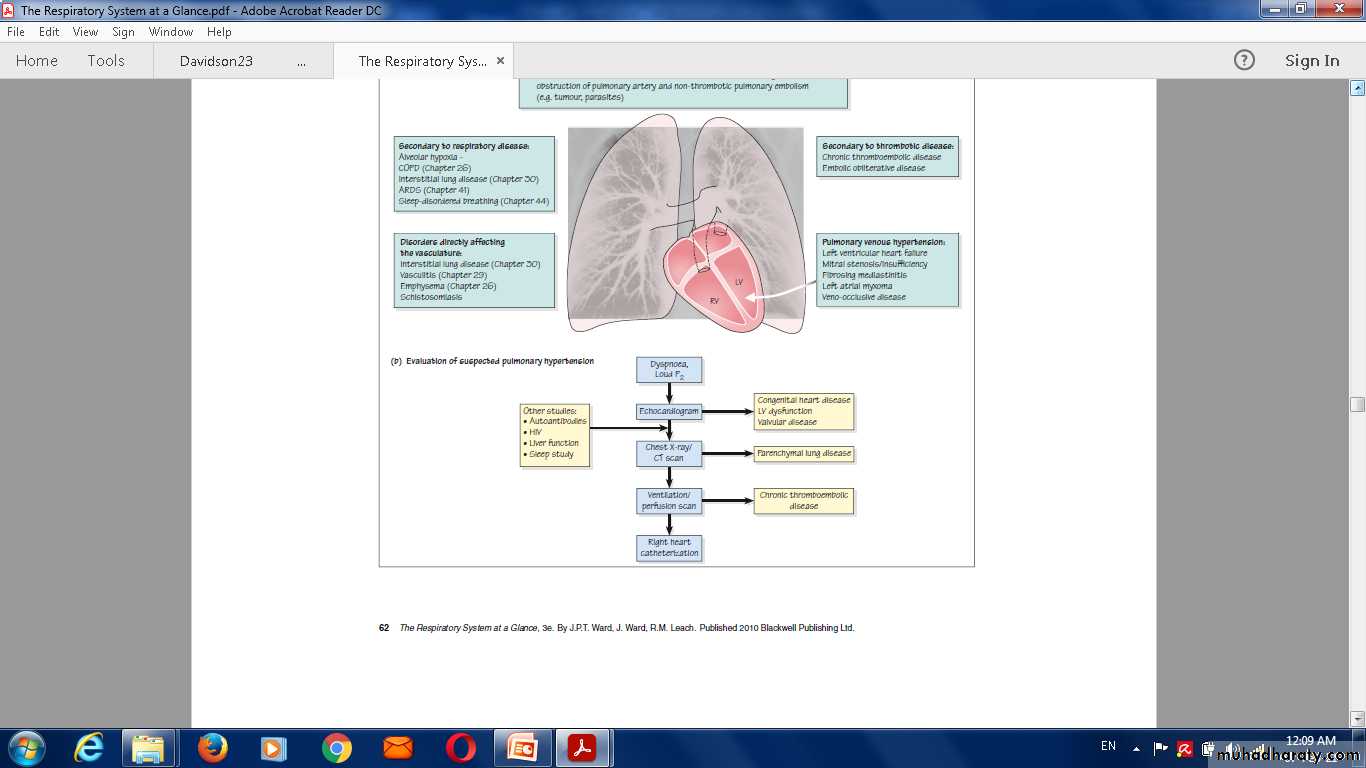 Pulmonary vascular disease