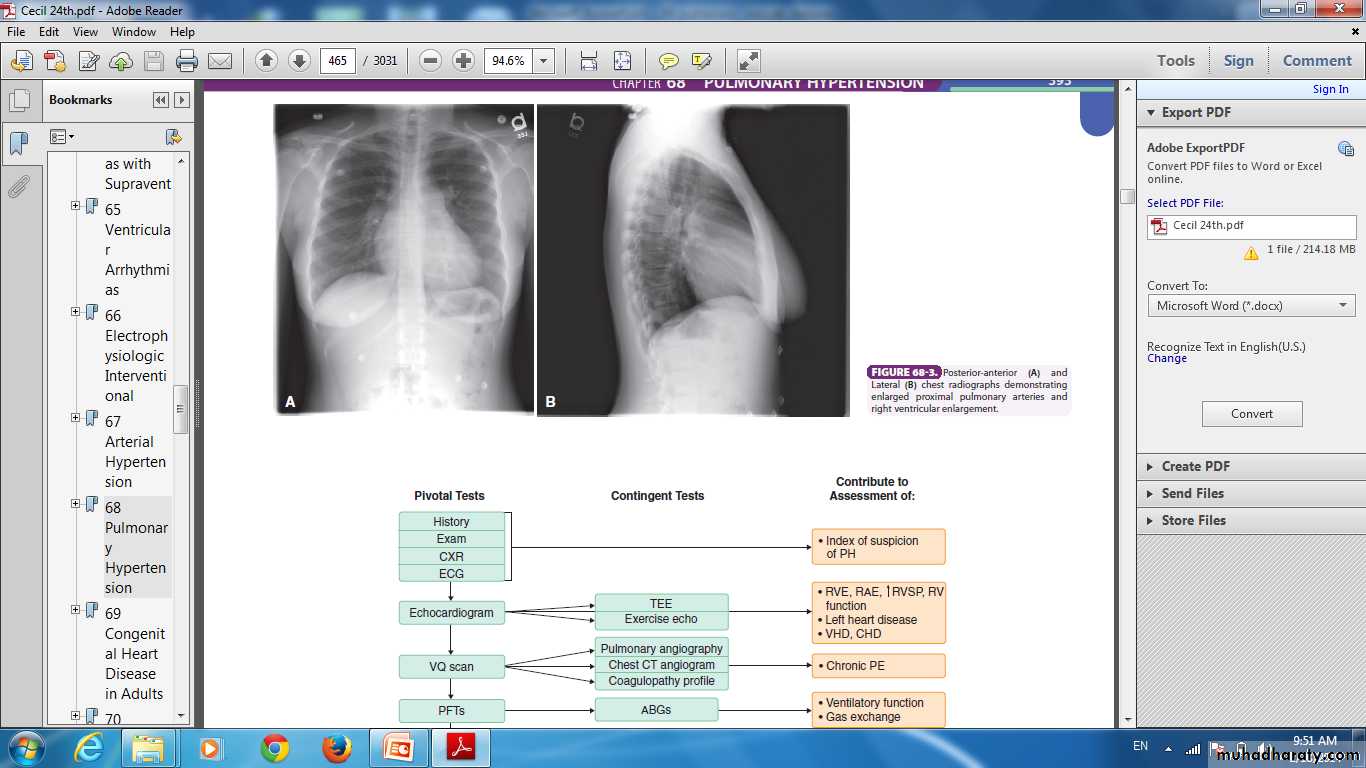 Pulmonary vascular disease