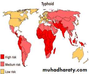 Typhoid Fever