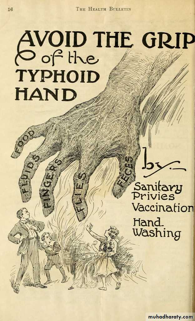 Typhoid Fever