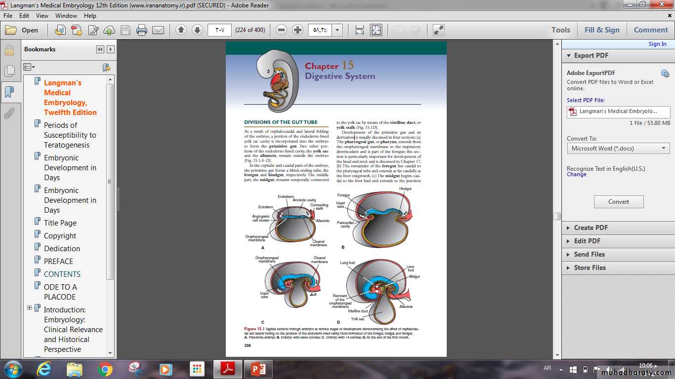 Digestive System