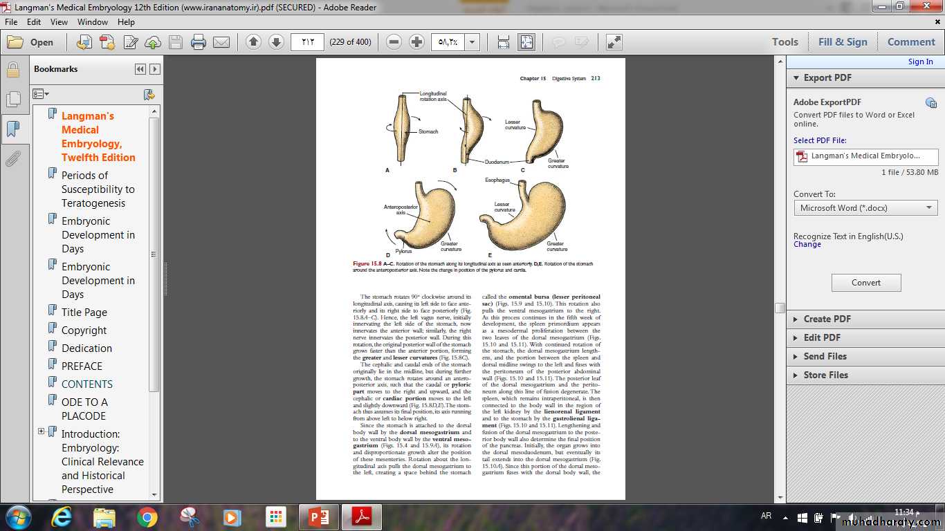 Digestive System