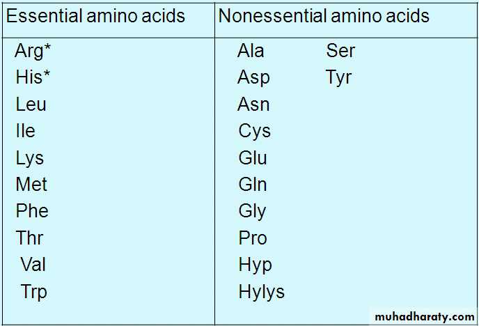 Biosynthesis of Nonessential Amino Acids