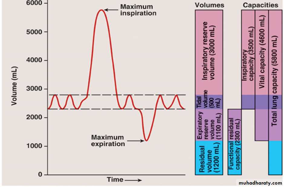 Pulmonary Functions Test