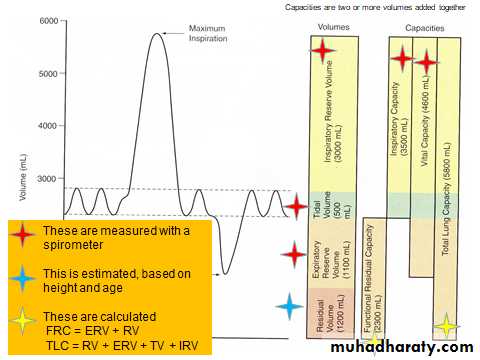 Pulmonary Functions Test