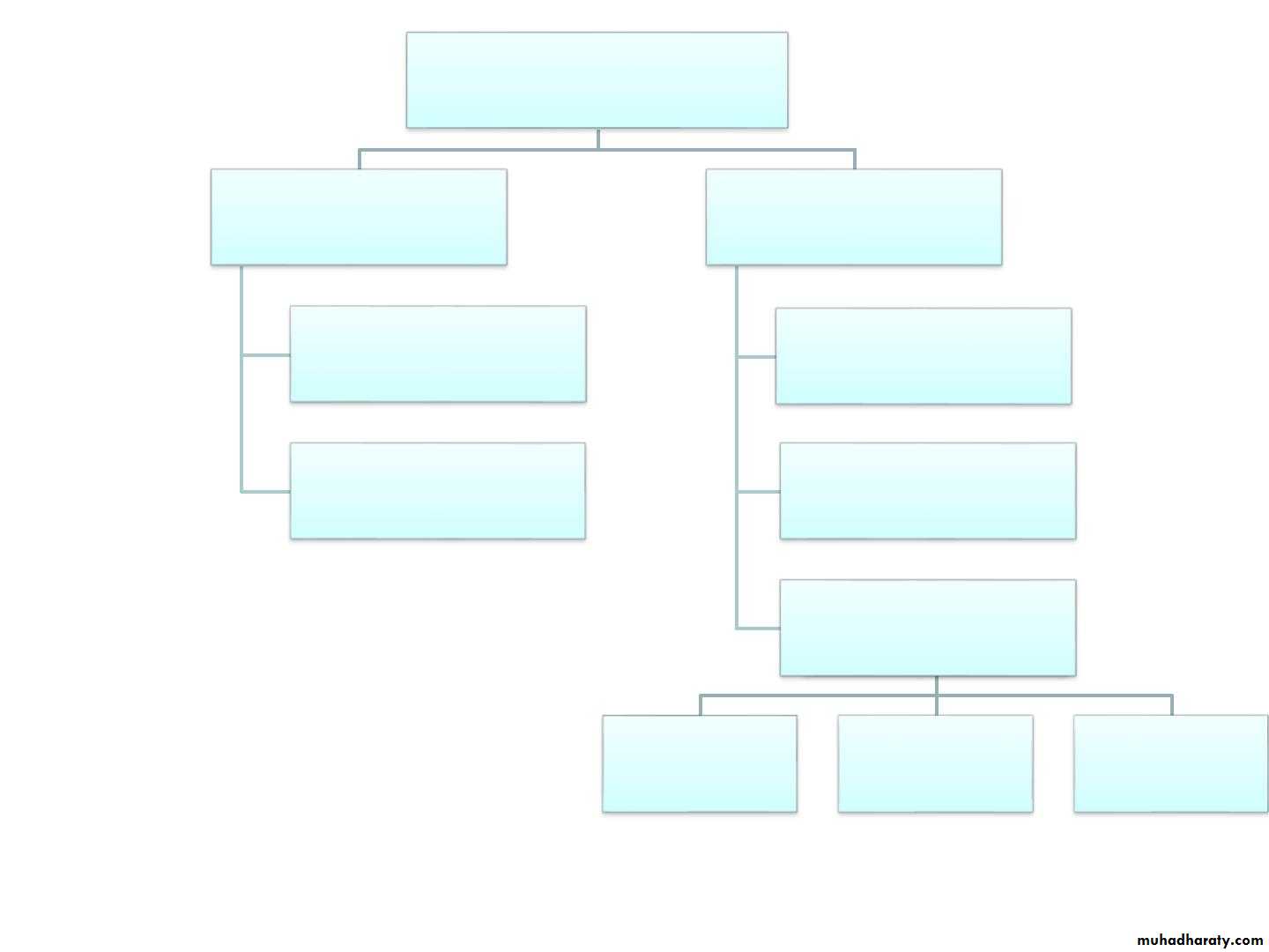 Cerebrum 2