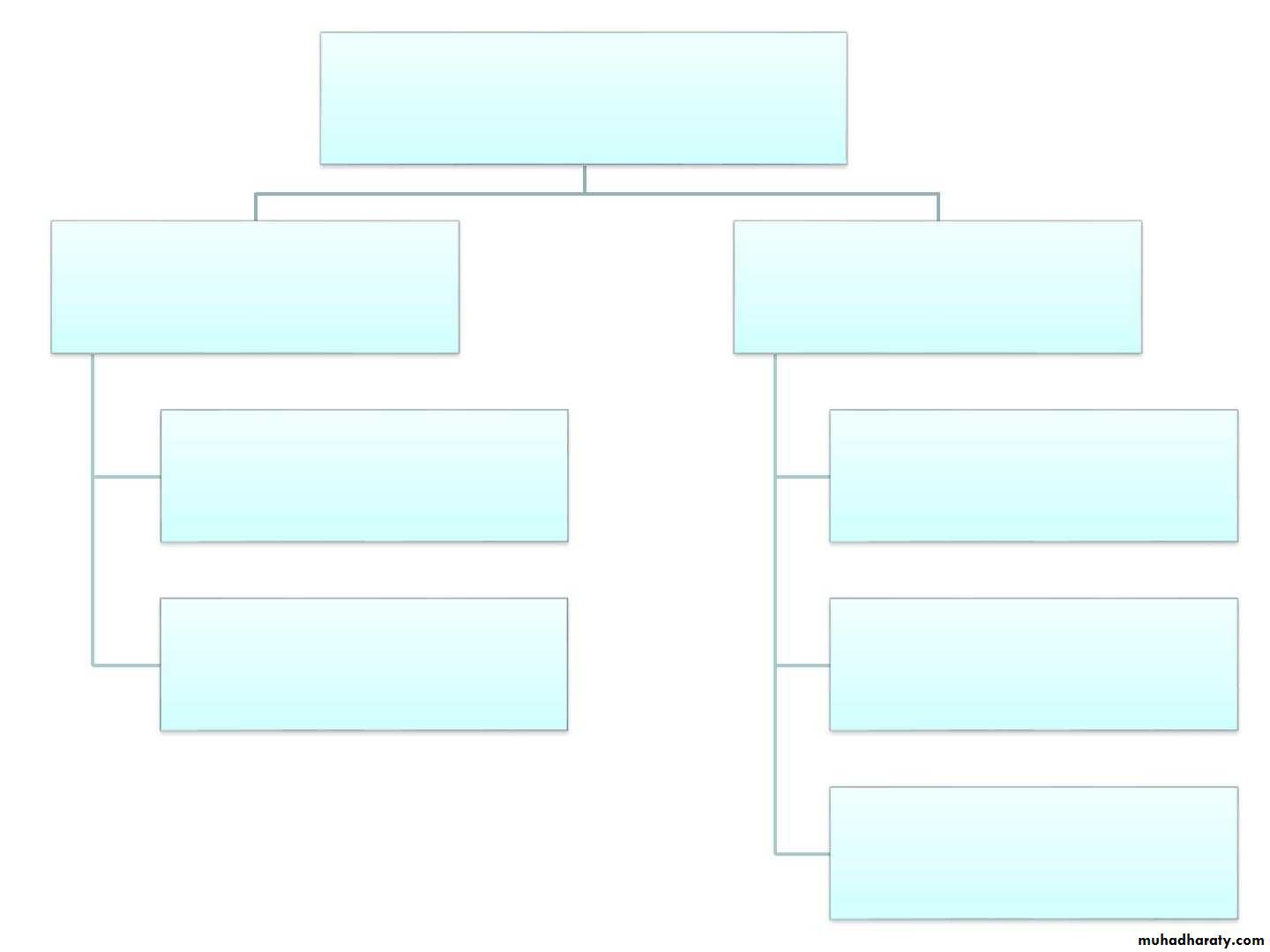 Cerebrum 2