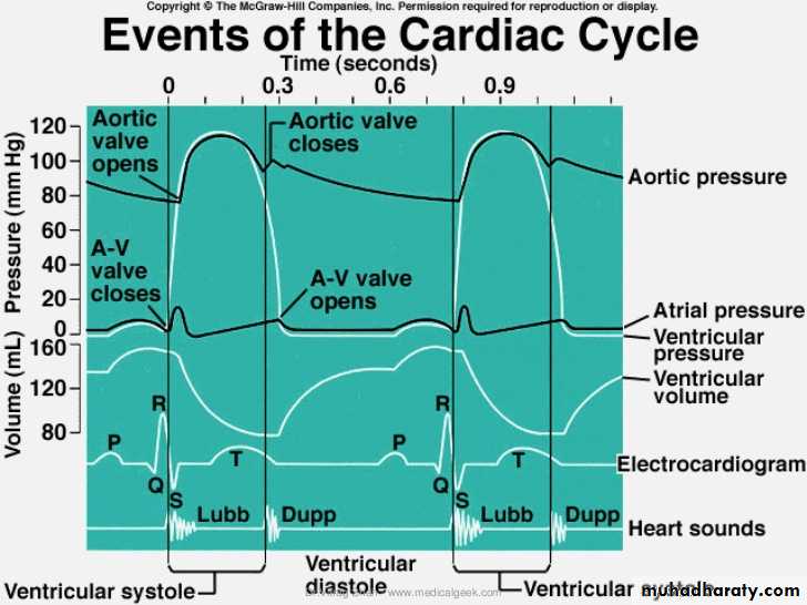 The Cardiac Cycle