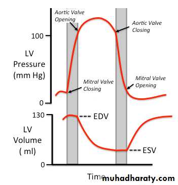 The Cardiac Cycle