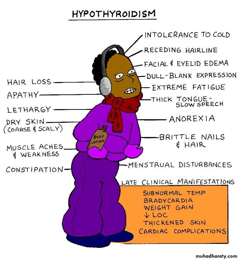 Endocrine system