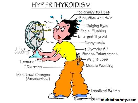 Endocrine system