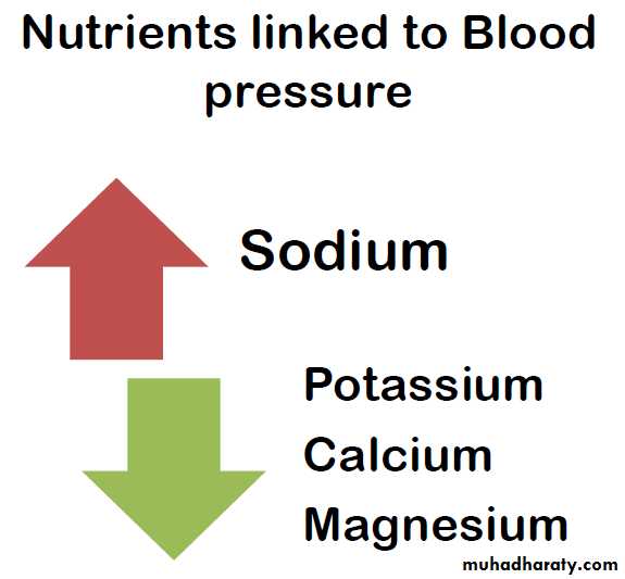 Nutrition 8