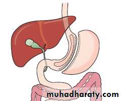 Nutrition 8