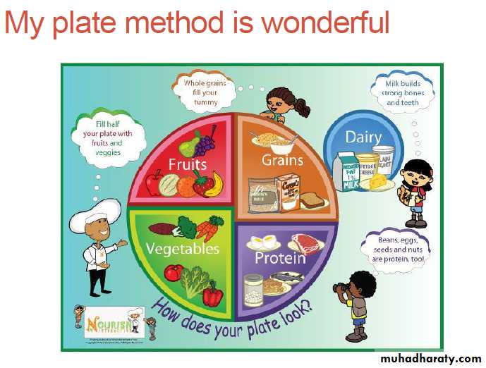 Nutrition 8