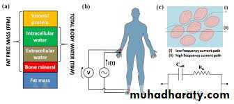 Nutritional Factors in Disease