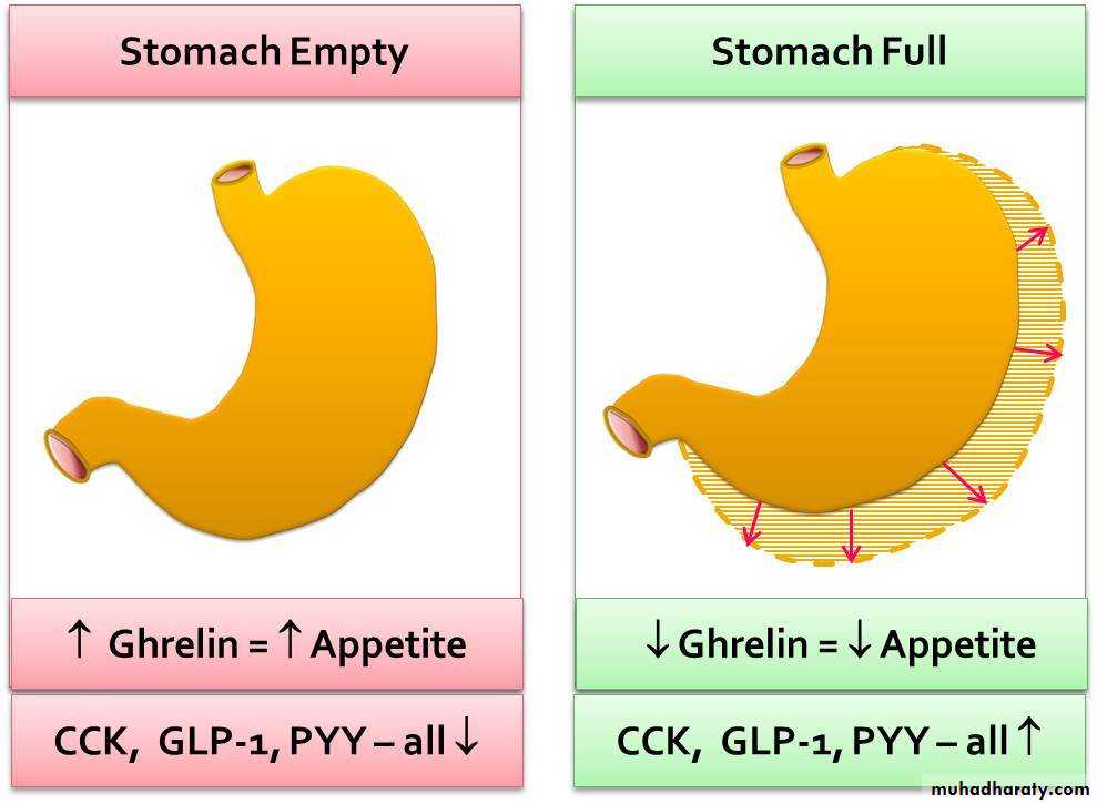 Nutritional Factors in Disease