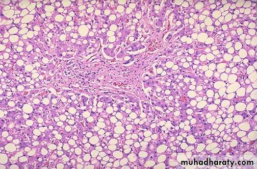 Cell Injury