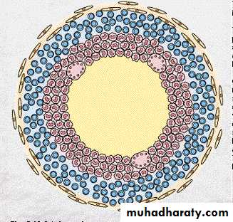 Cell Injury