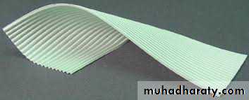 Surgical Incision