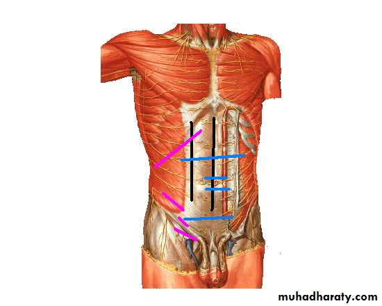 Surgical Incision