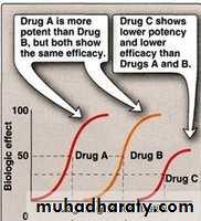 Pharmacokinetics 2