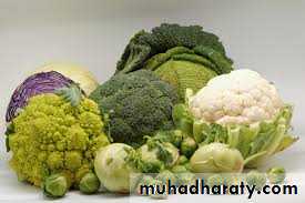 Disorder of Altered Energy Balanced Under-Nutrition Starvation and Famine