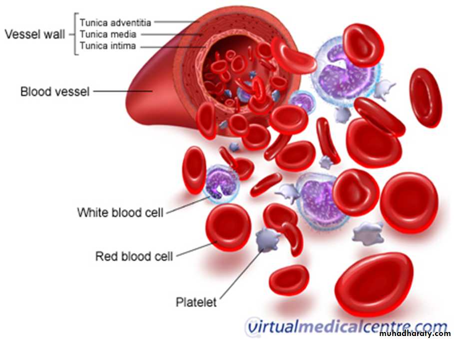 Platelet and Hemostasis