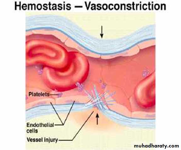 Platelet and Hemostasis