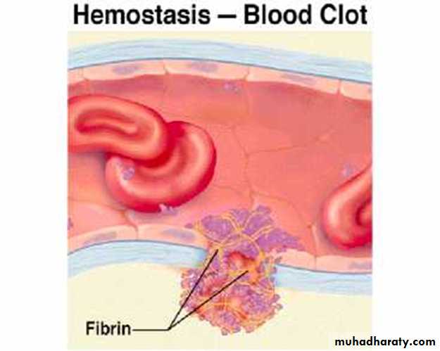 Platelet and Hemostasis