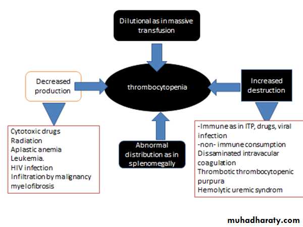 Platelet and Hemostasis