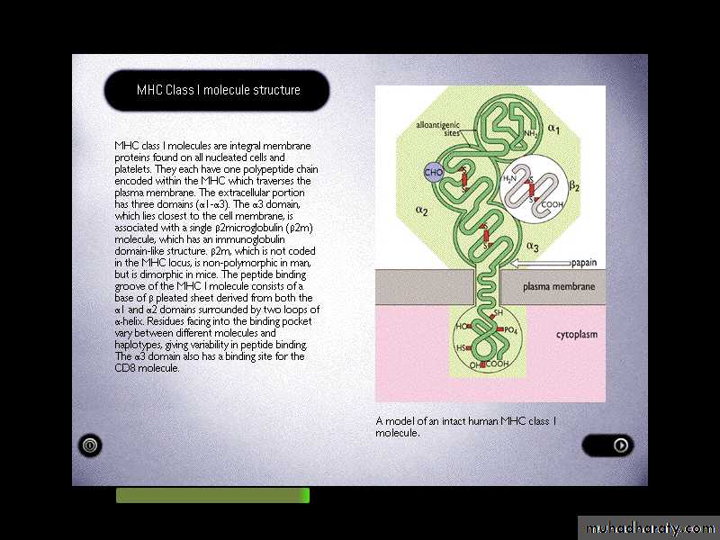 Cell Receptors