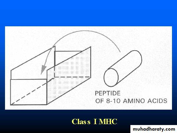 Cell Receptors