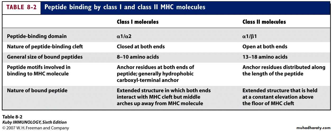 Cell Receptors