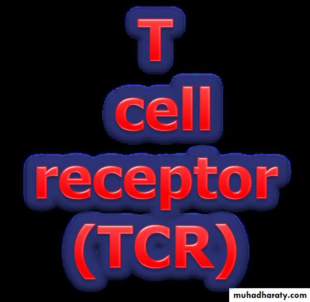 Cell Receptors