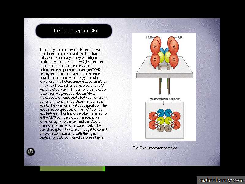 Cell Receptors