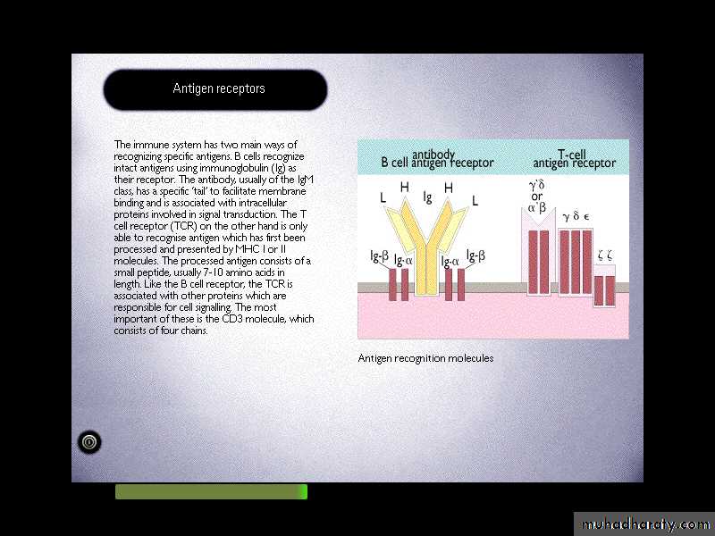 Cell Receptors