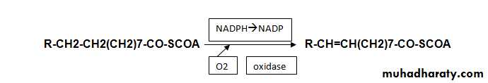 Fatty Acids
