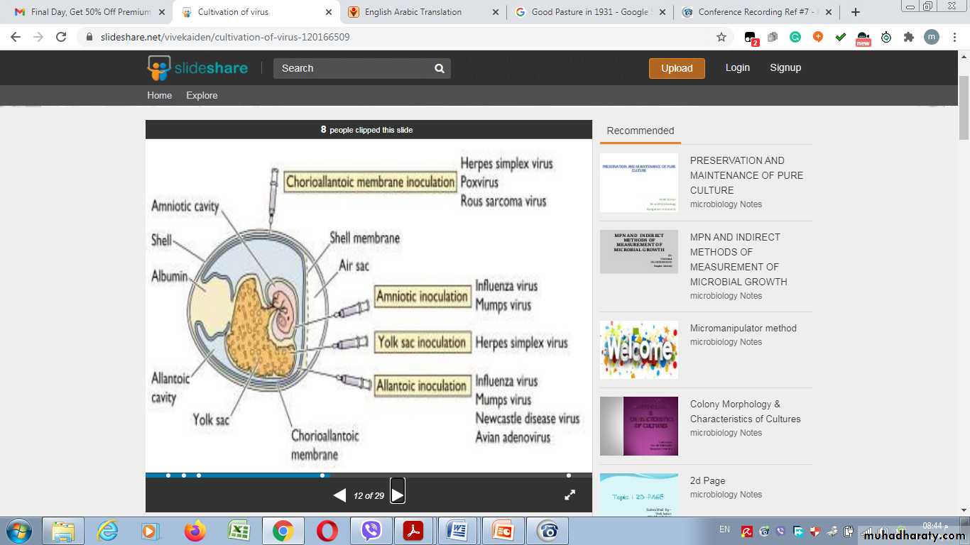 Cultivation, Detection and Quantitation of Viruses