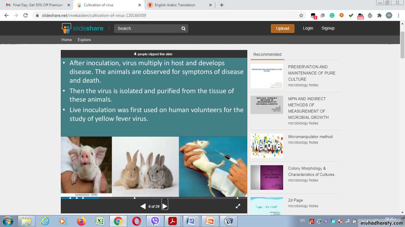 Cultivation, Detection and Quantitation of Viruses