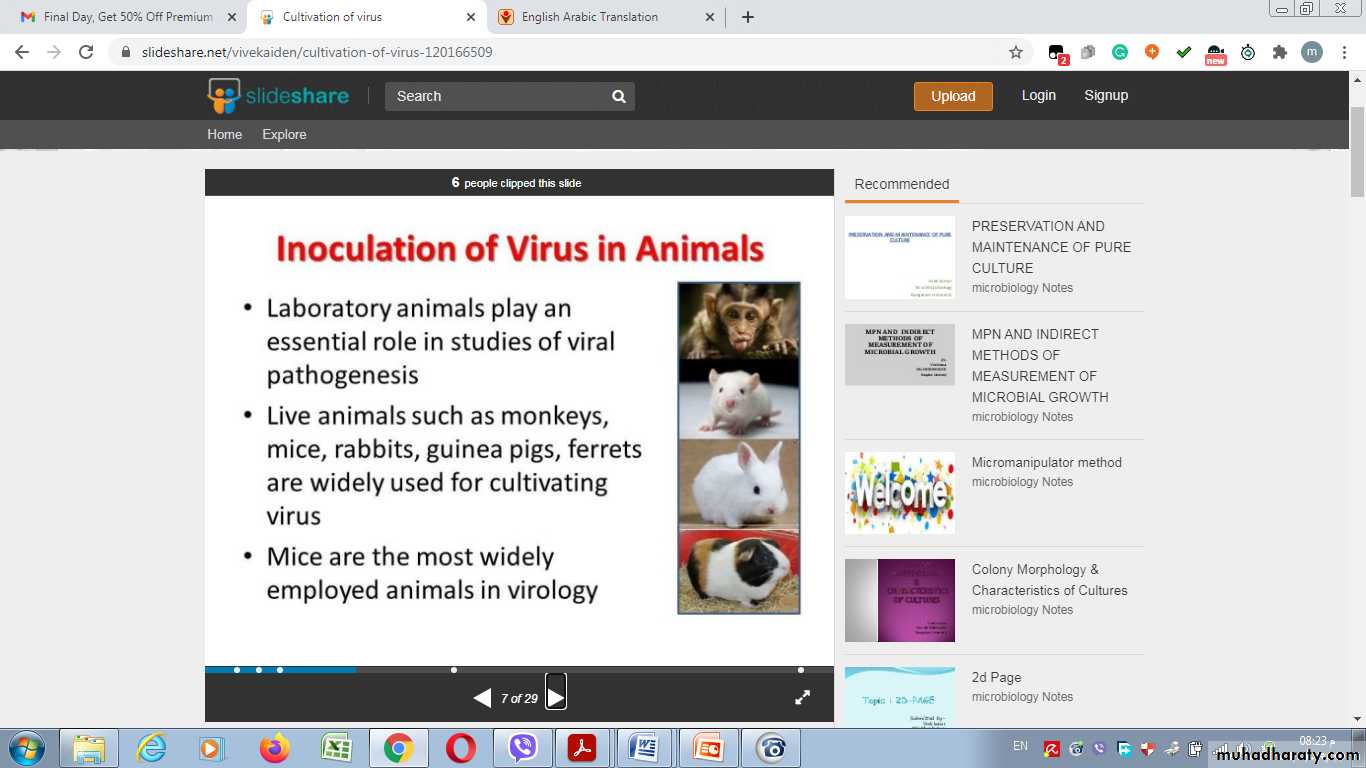 Cultivation, Detection and Quantitation of Viruses